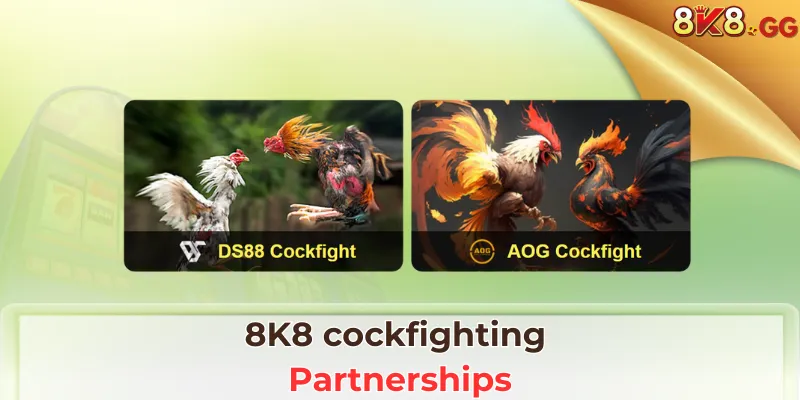8K8 Cockfighting Partnerships
