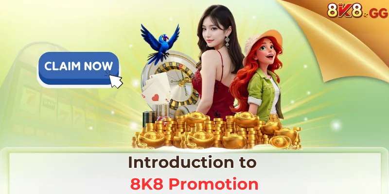 Introduction to 8K8 Promotion