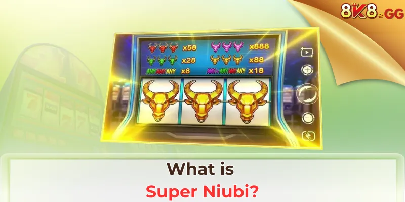 What is Super Niubi?