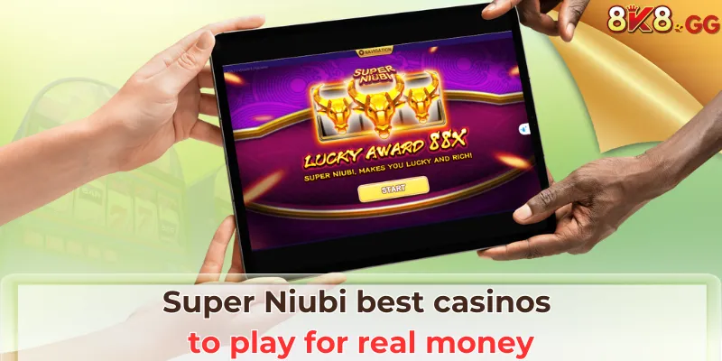 Super Niubi best casinos to play for real money