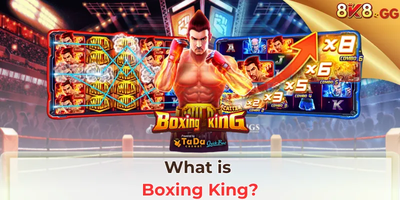What is Boxing King?