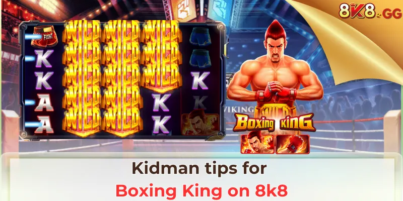 Kidman tips for Boxing King on 8k8